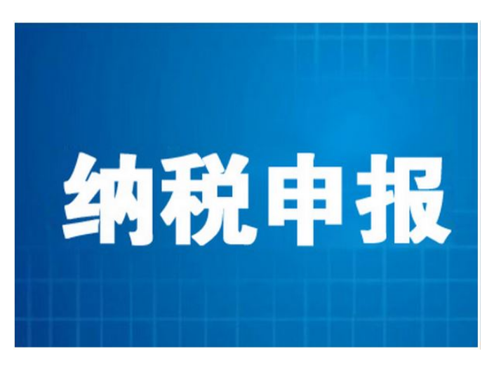 税务申报代理